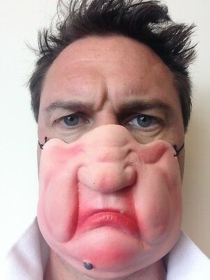 Mole Chin Half Mask