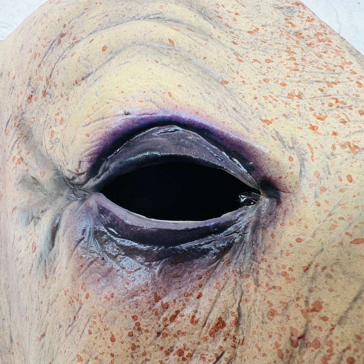 Severed Pig Head Mask