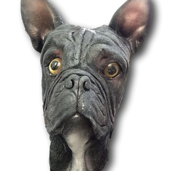 Französische Bulldoggenmaske