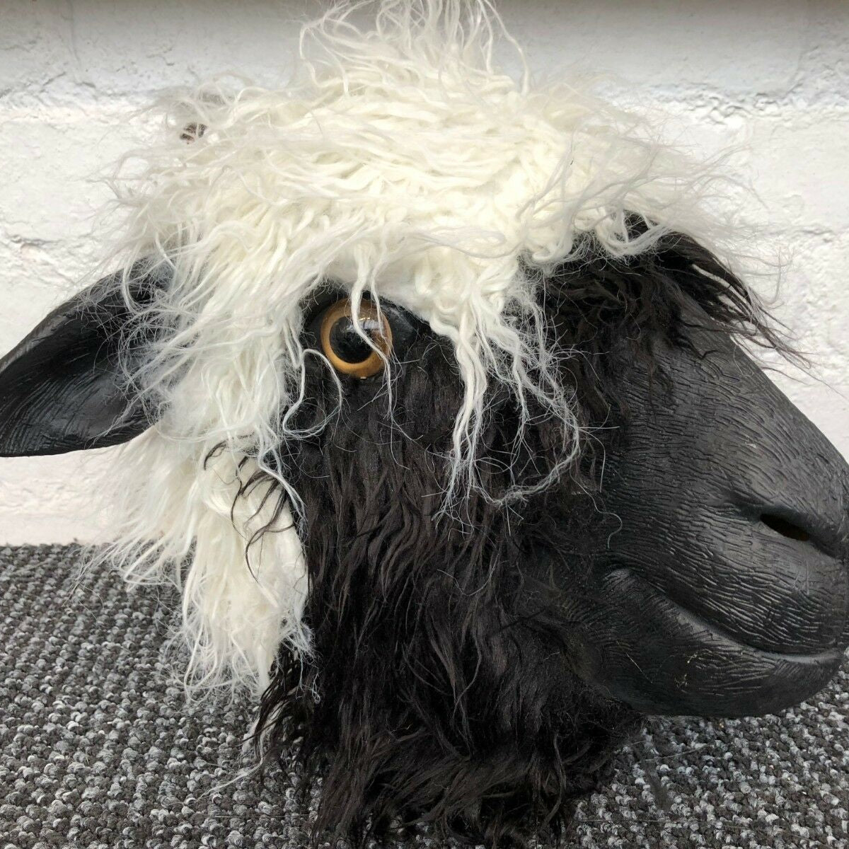 Masque de tête de mouton laineux.