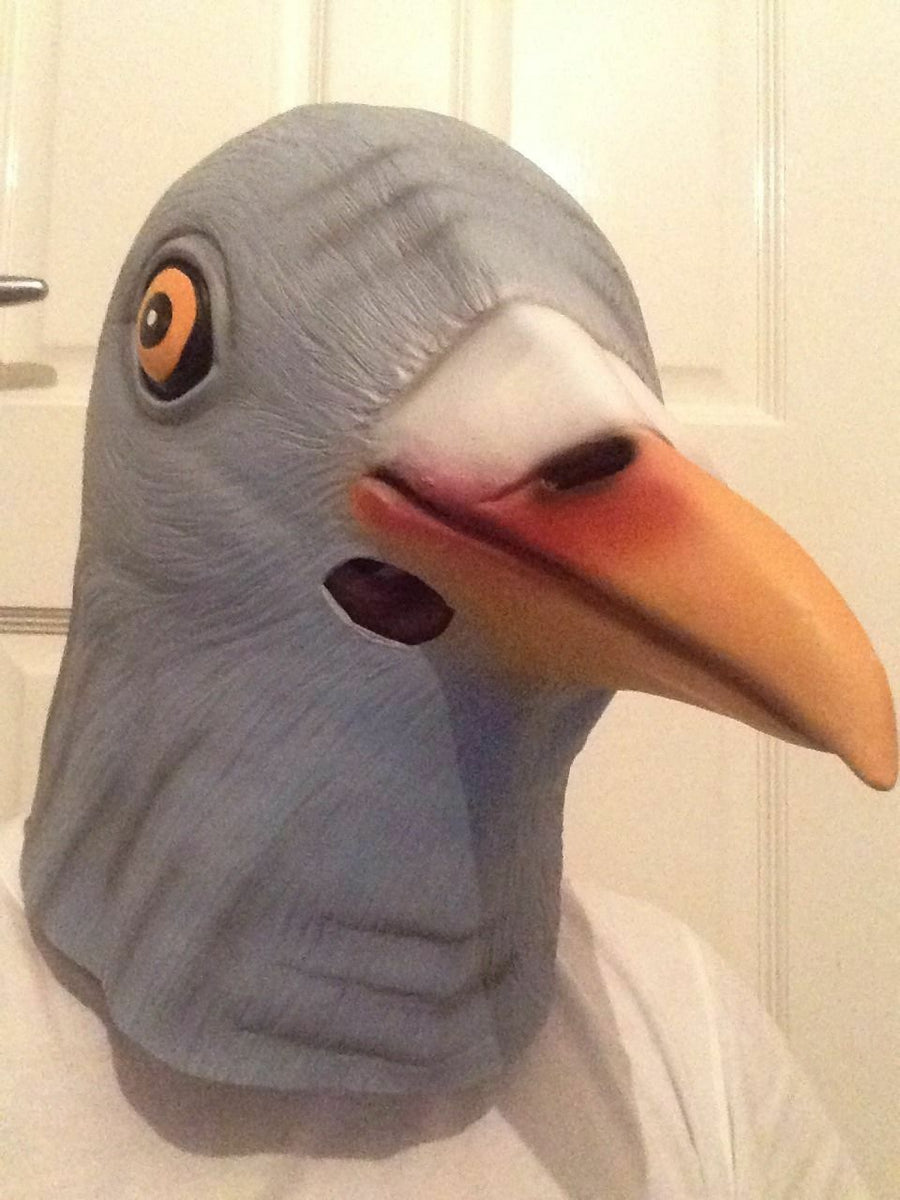 Masque de pigeon