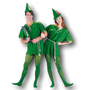 Peter Pan Adult Costume.