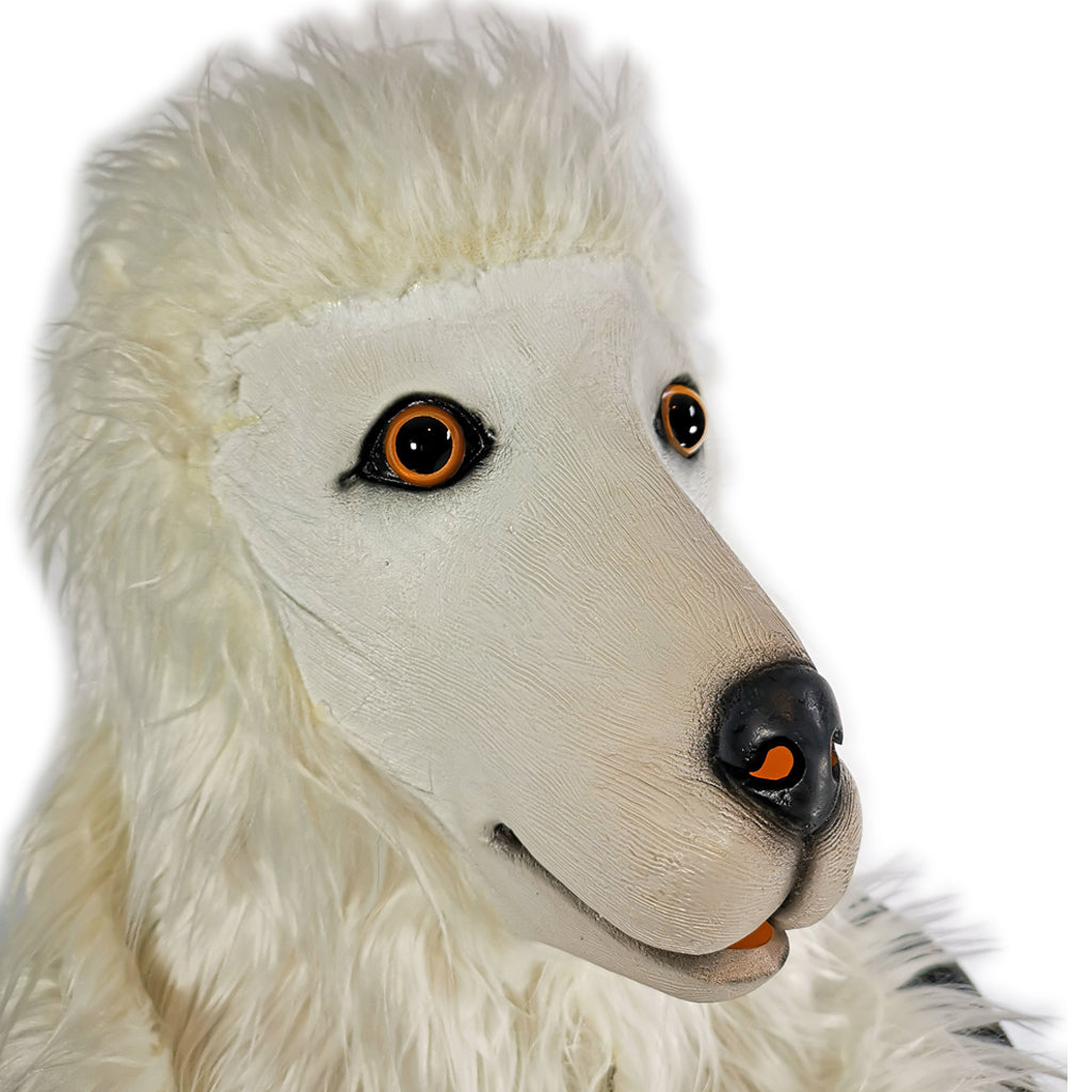 Masque de caniche blanc avec gants (Fursuit)
