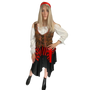 Ladies carribean pirate costume