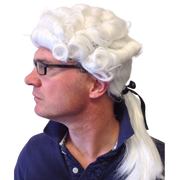 Judge/Barrister Wig Fancy Dress Wig 