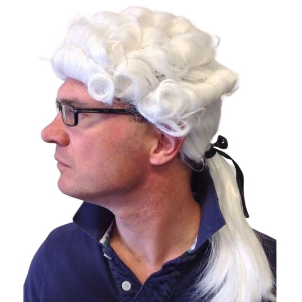 Judge/Barrister Wig Fancy Dress Wig 