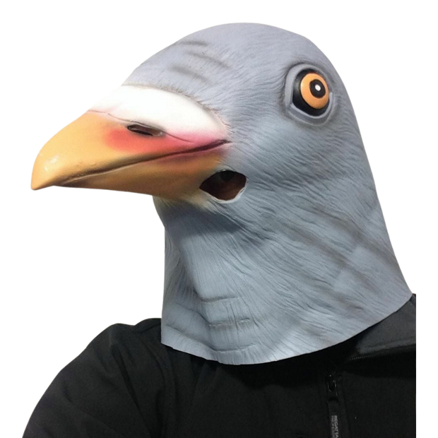 Full head latex mask of pigeon.